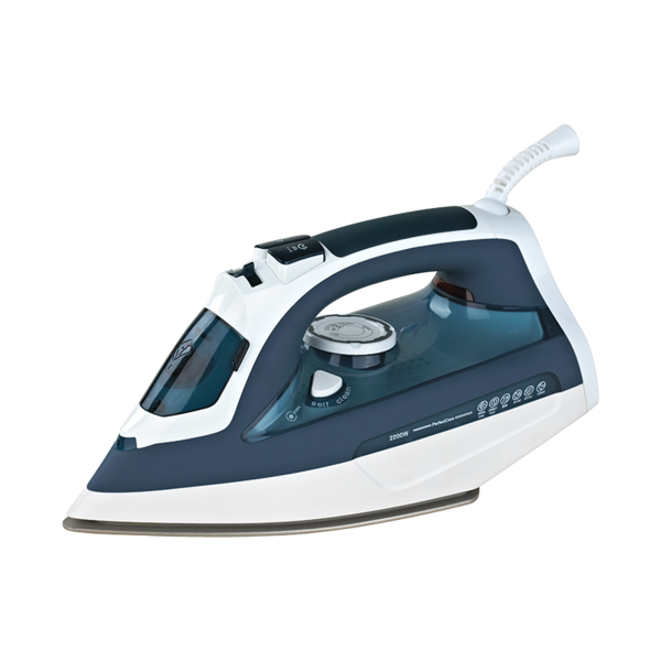 Ceramic soleplate vertical foldable steam iron