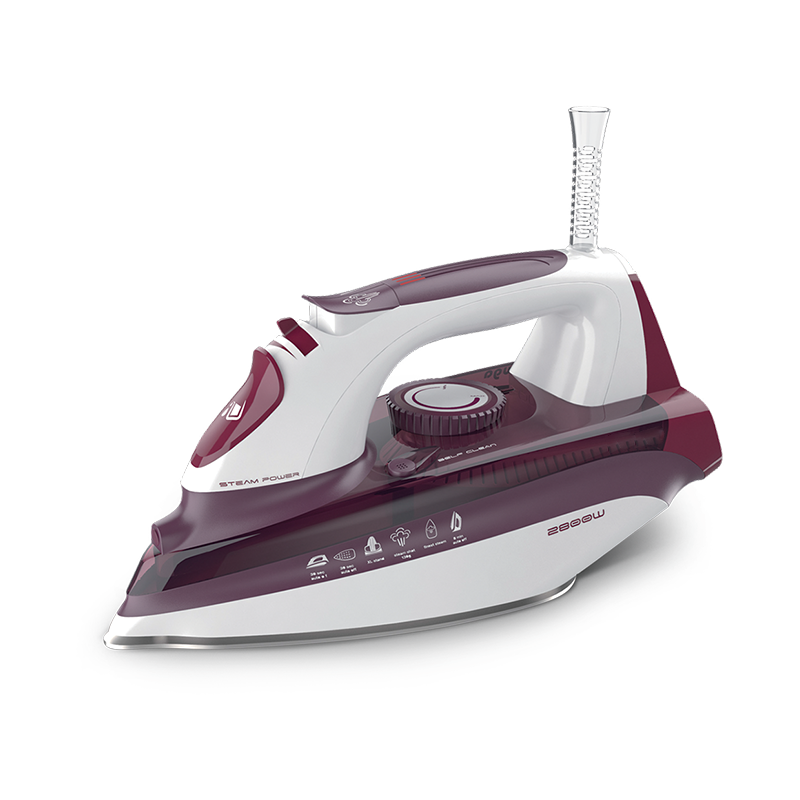 Howga Ceramic Full Function Powerful Garment Steamer Iron